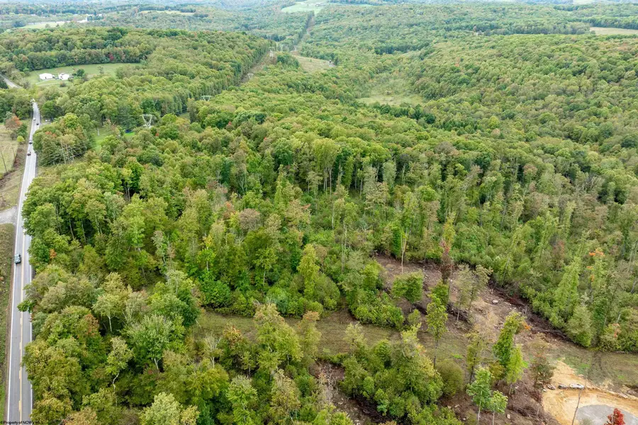 0 N Preston Highway, Bruceton Mills, WV 26525 - Image #2