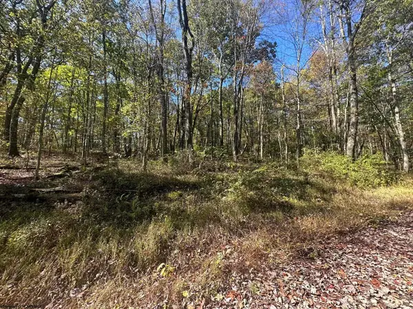 20 Rhododendron Drive, Terra Alta, WV 26764