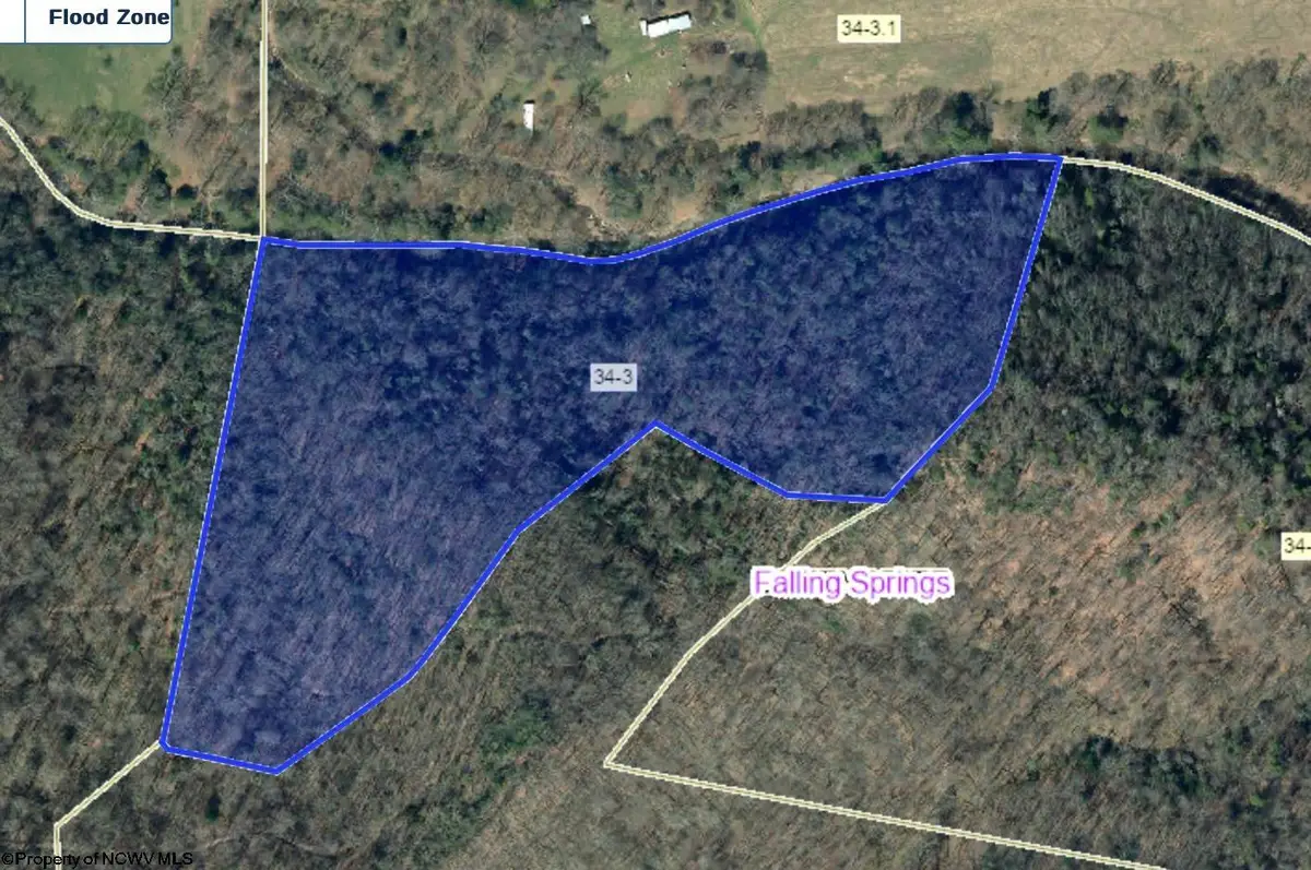 TBD Leonard Cordova Road, Renick, WV 24996 - Image #1