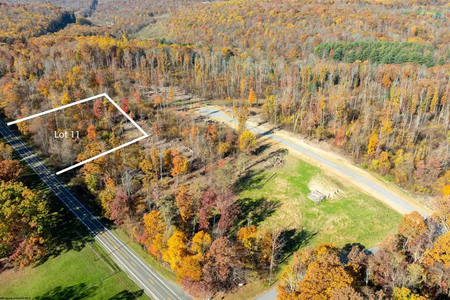 Lot 9 Poplar Ridge, Bruceton Mills, WV 26525 - Image #3