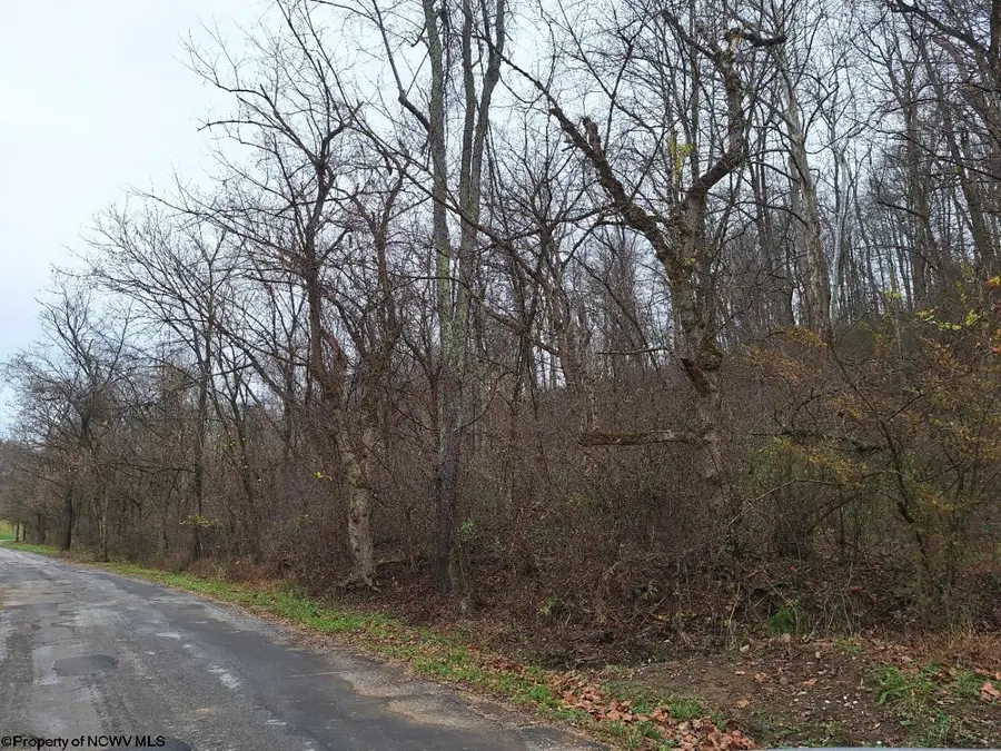 TBD Jack Run Road, Bridgeport, WV 26330 - Image #2