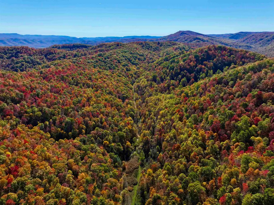 2453 Channel Road, Mill Creek, WV 26280 - #2