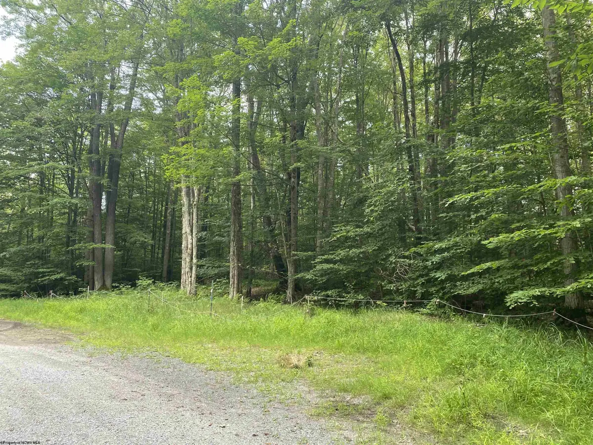 lot 42 Bobcat Road, Davis, WV 26260 - Image #1