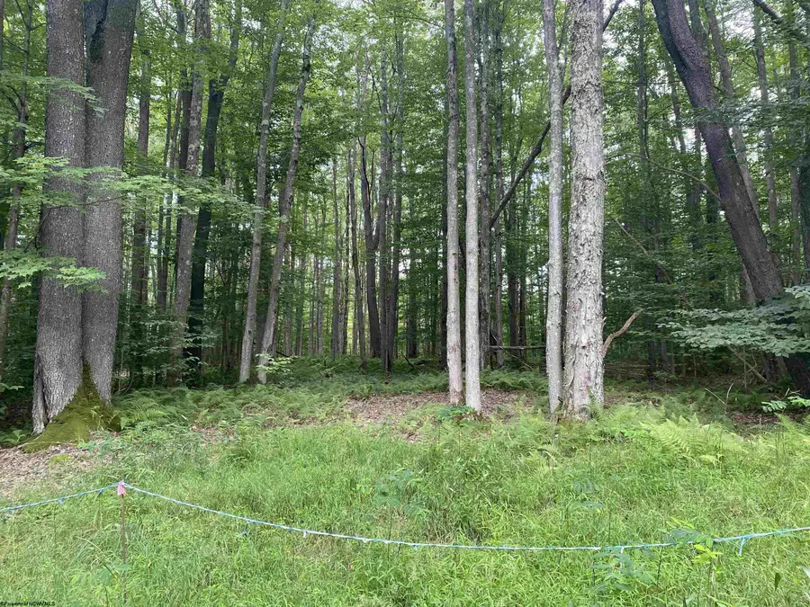 lot 42 Bobcat Road, Davis, WV 26260 - Image #2