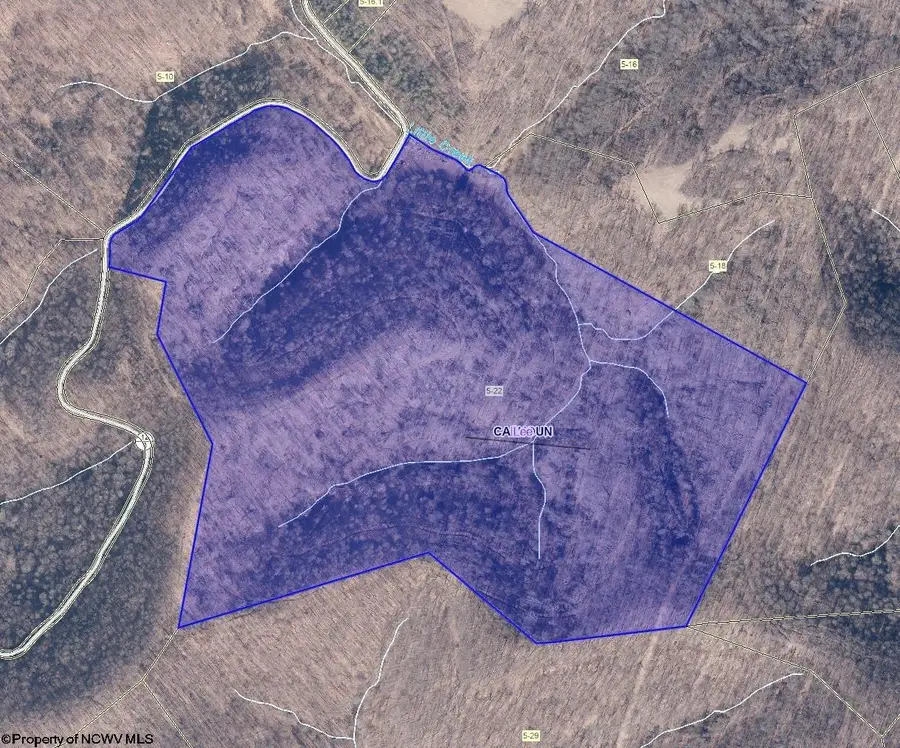 Parcel 22 Little Rowels Run Road, Creston, WV 26141 - Image #3