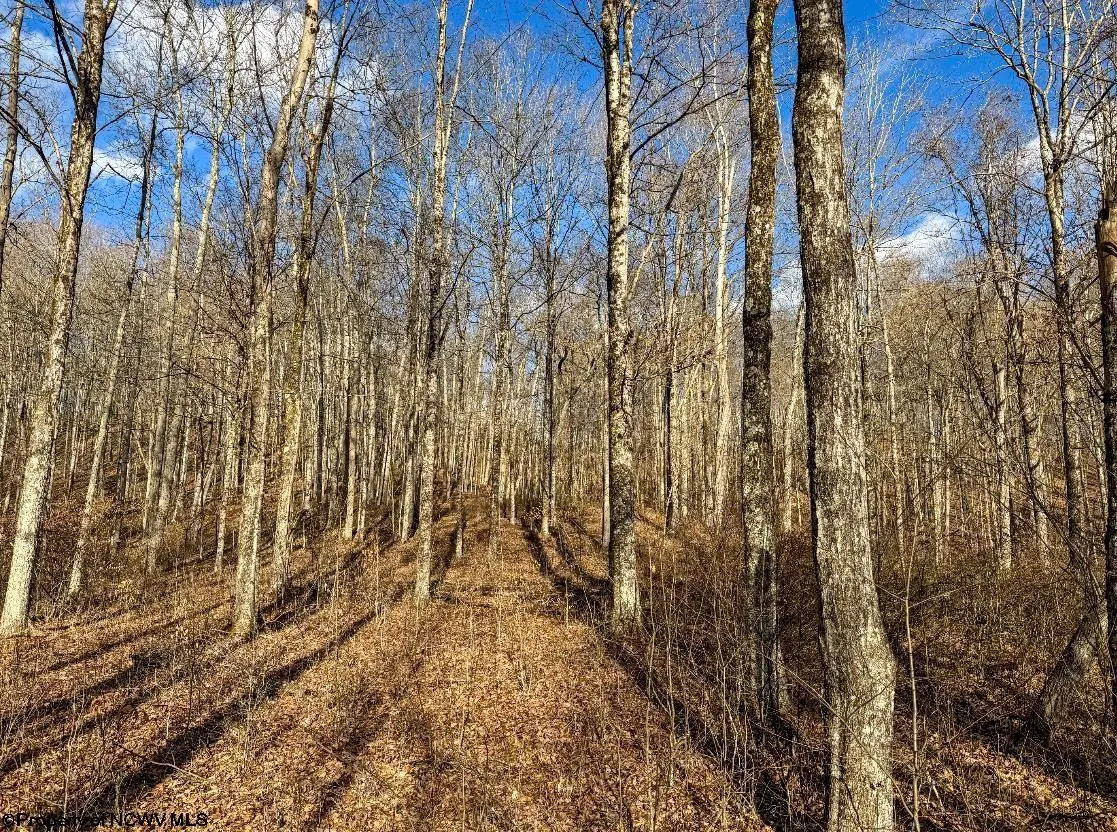 TBD Keller Hill Road, South, WV 26260 - Image #1