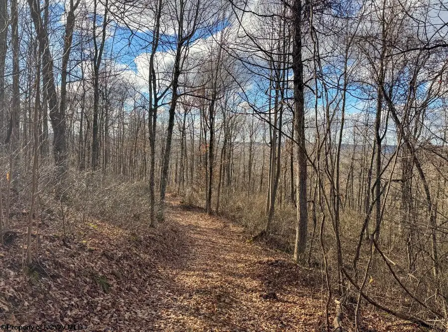 0 Morgantown Pike, South, WV 26260 - Image #2