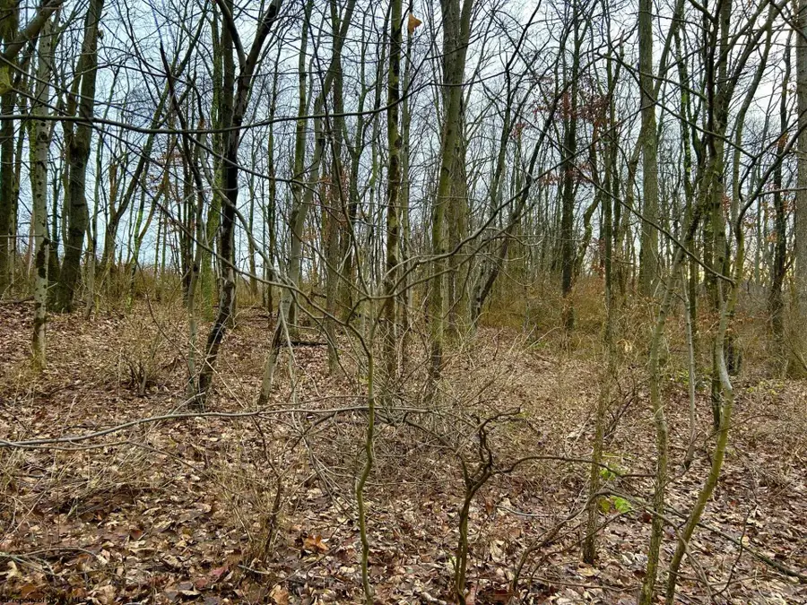 1201 Moyers Road, Bruceton Mills, WV 26525 - Image #2