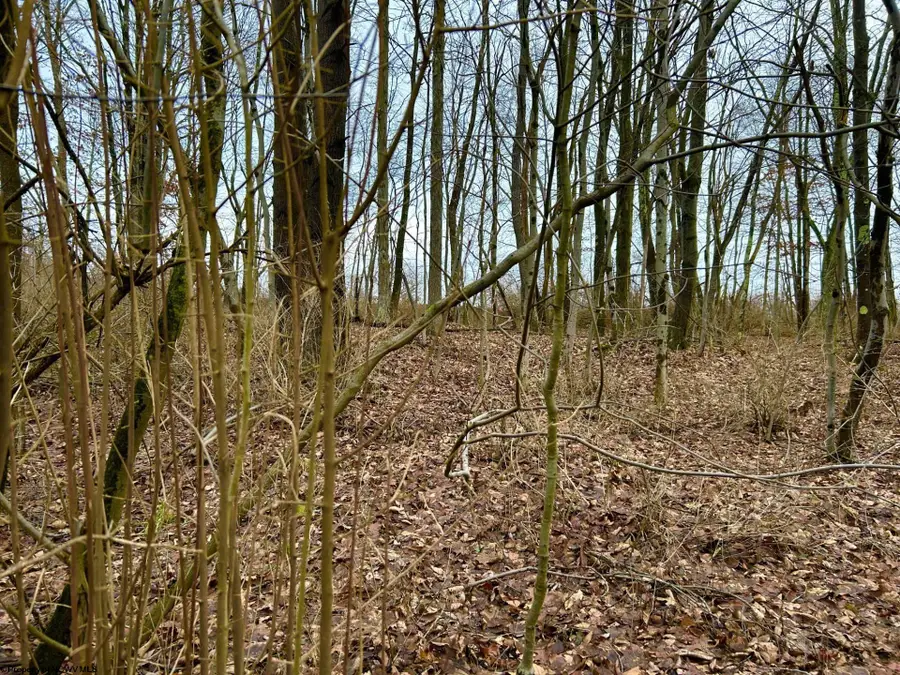 1201 Moyers Road, Bruceton Mills, WV 26525 - Image #3