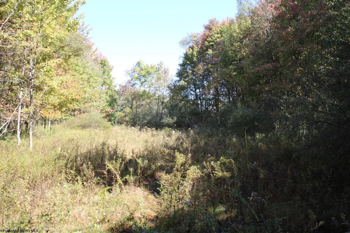 1429 Sand Bank Road, Masontown, WV 26542 - Image #1