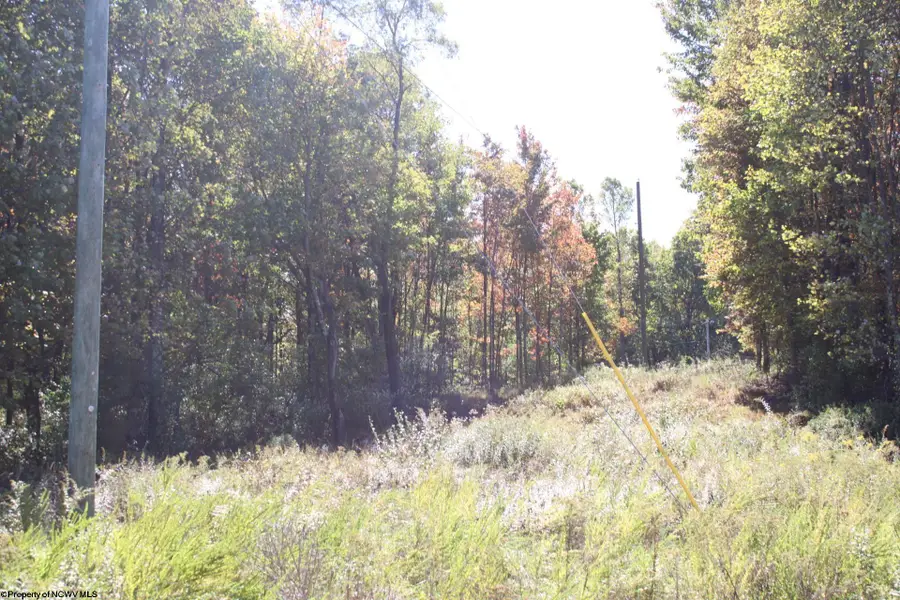 1429 Sand Bank Road, Masontown, WV 26542 - Image #3