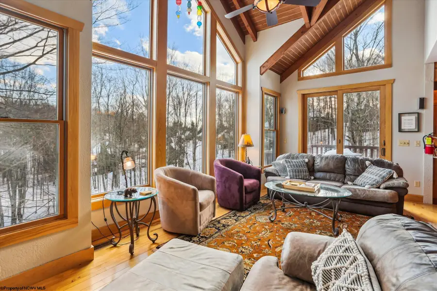 120 Treetop Lane, Davis, WV 26260 - Image #3