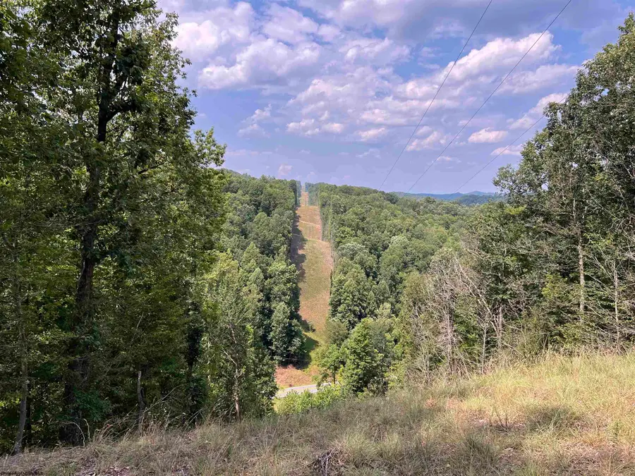 TBD Walker Fork Road, Copen, WV 26615 - Image #2