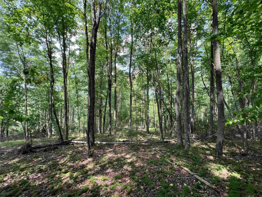 TBD Walker Fork Road, Copen, WV 26615 - Image #3