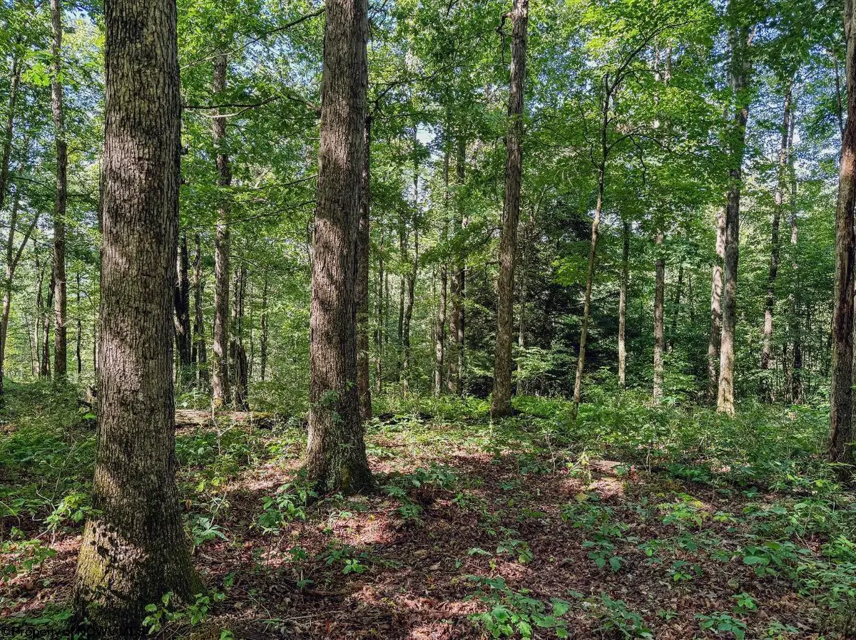 TBD Whitewater Parkway, Bruceton Mills, WV 26525 - #1