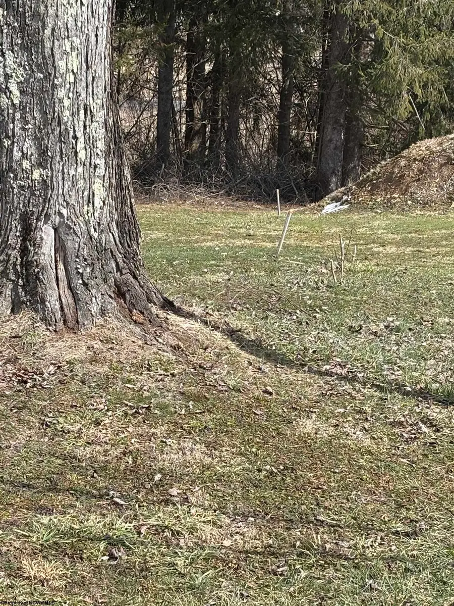 11 Tuggle Street, Buckhannon, WV 26201 - Image #2