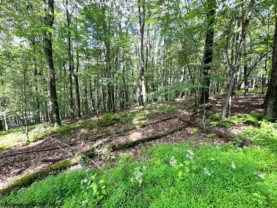 lot 87 Ginger Court, Terra Alta, WV 26764 - Image #2