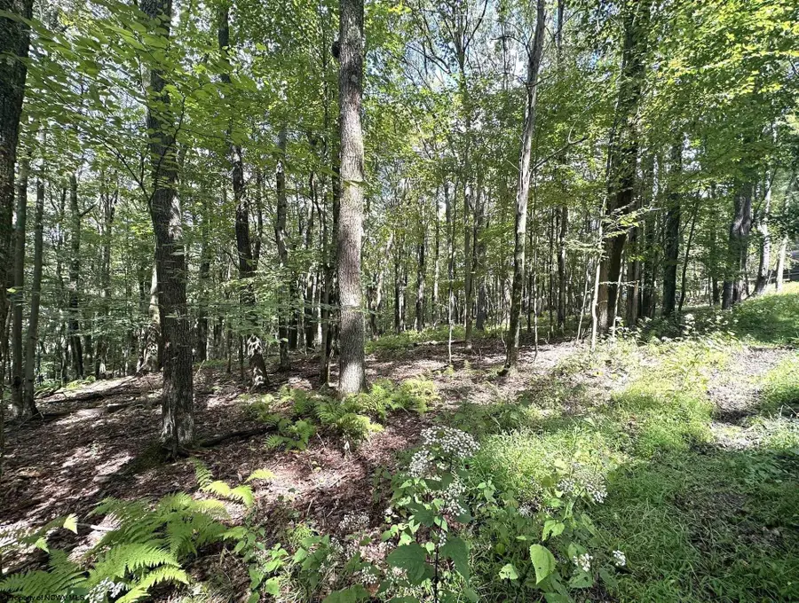 lot 87 Ginger Court, Terra Alta, WV 26764 - Image #3