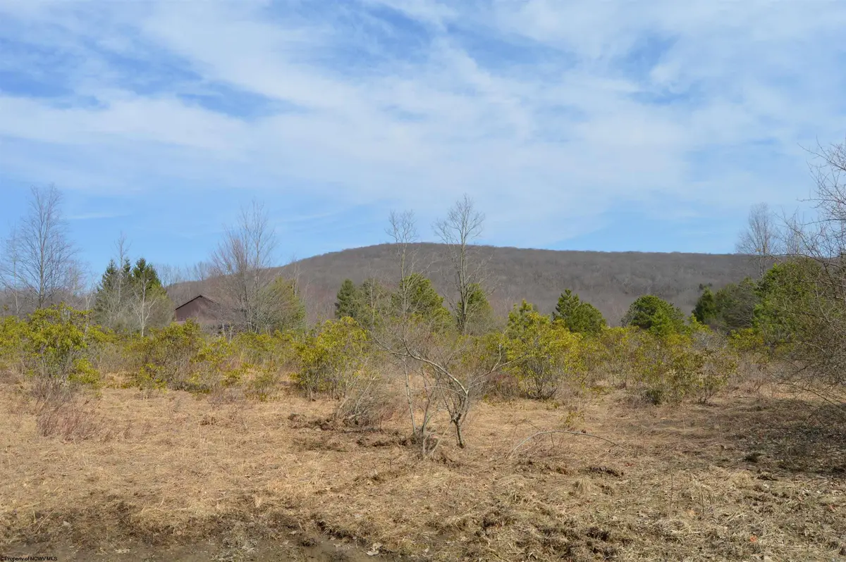 Lot 3 Grosbeak Drive, Terra Alta, WV 26764 - Image #1