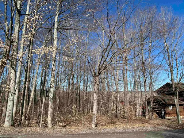 Lot 16 Winters Edge Drive, Davis, WV 26260