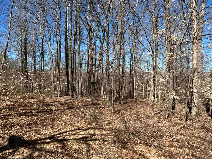 Lot 16 Winters Edge Drive, Davis, WV 26260 - Image #2