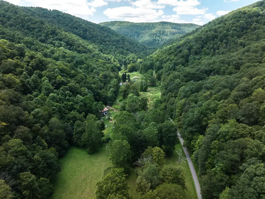 3595 Licking Creek Road, Parsons, WV 26287 - Image #2