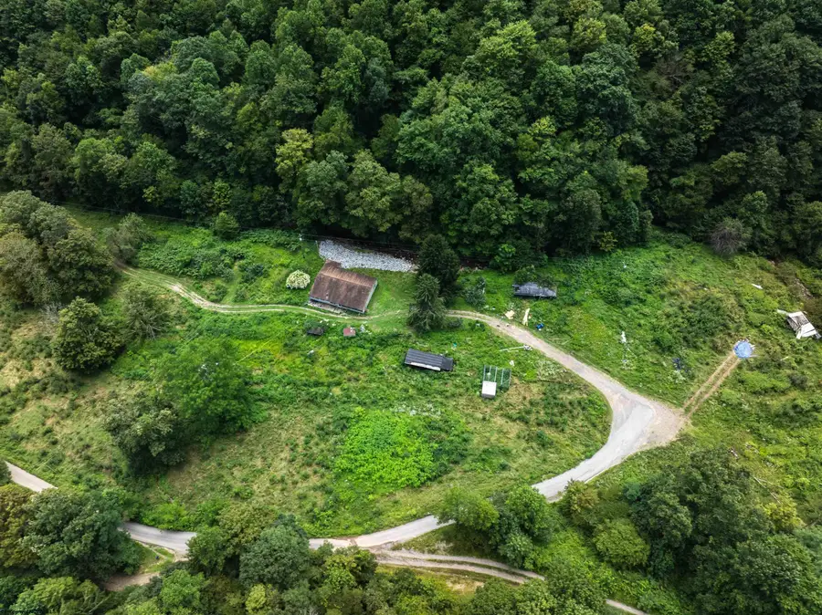 3595 Licking Creek Road, Parsons, WV 26287 - Image #3