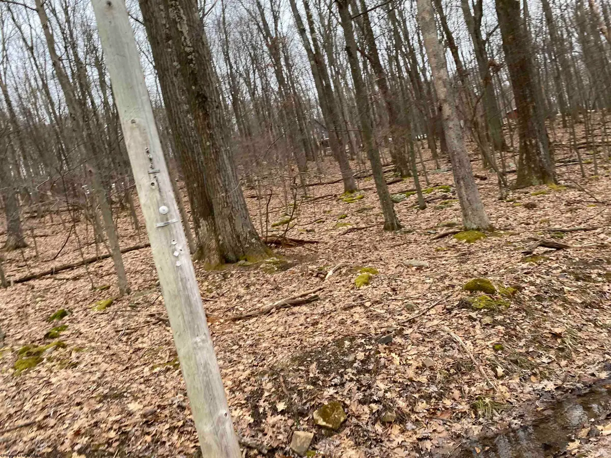 TBD Pond Lilly Lane, Terra Alta, WV 26764-0000 - Image #1