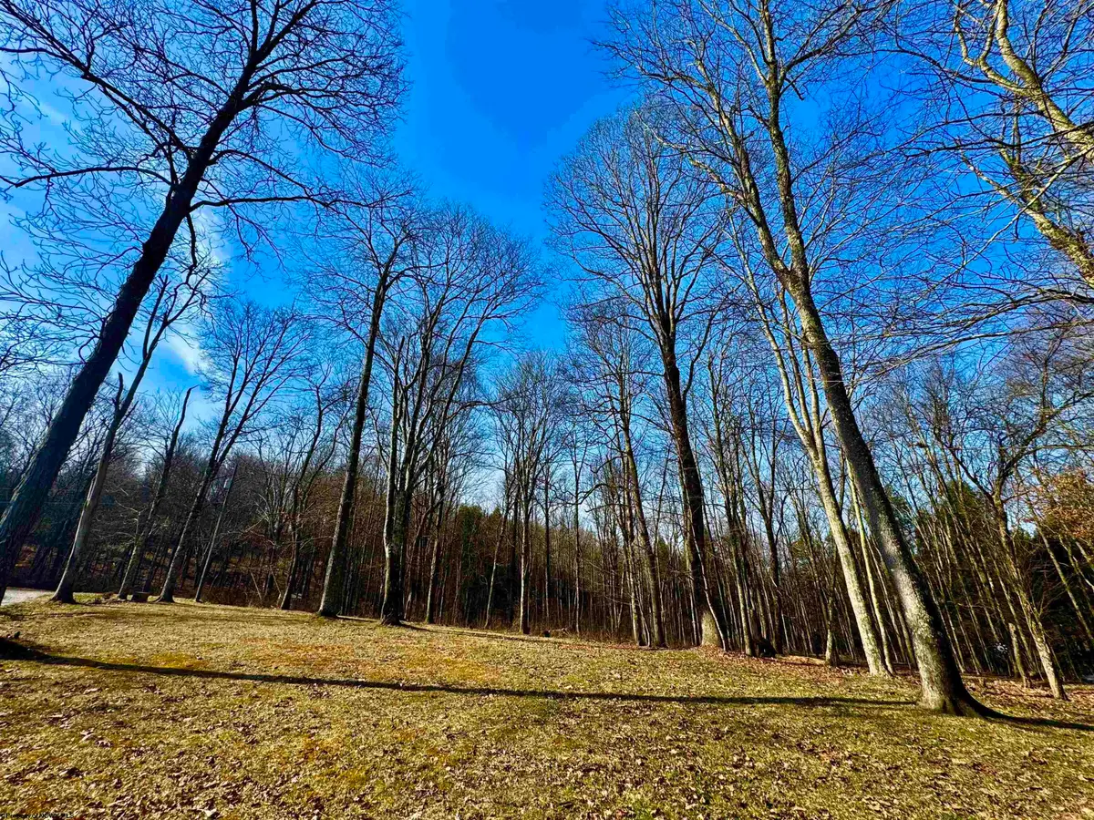 Lot 30 Wild Flower Way, Albright, WV 26519 - #1