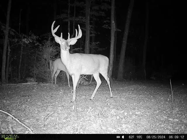 Lot 30 Wild Flower Way, Albright, WV 26519 - #3