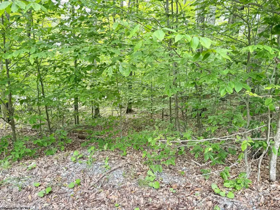 56 Winterset Drive, Davis, WV 26260 - Image #2