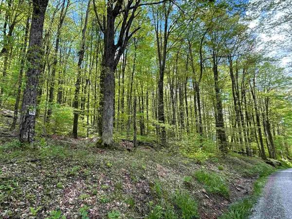 Lot 147 Cabin Mountain Road, Davis, WV 26260