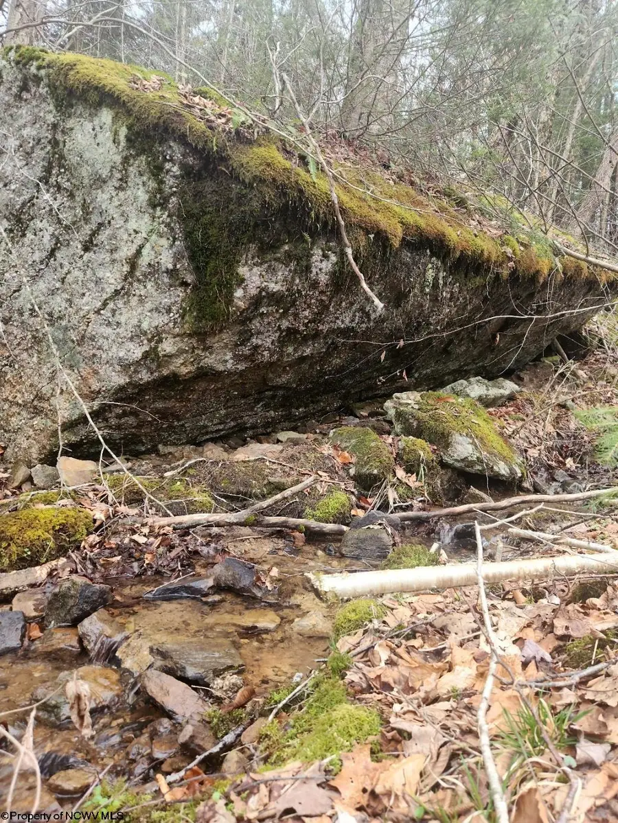 Lot 9 Harper Trail, Valley Bend, WV 26293 - Image #2
