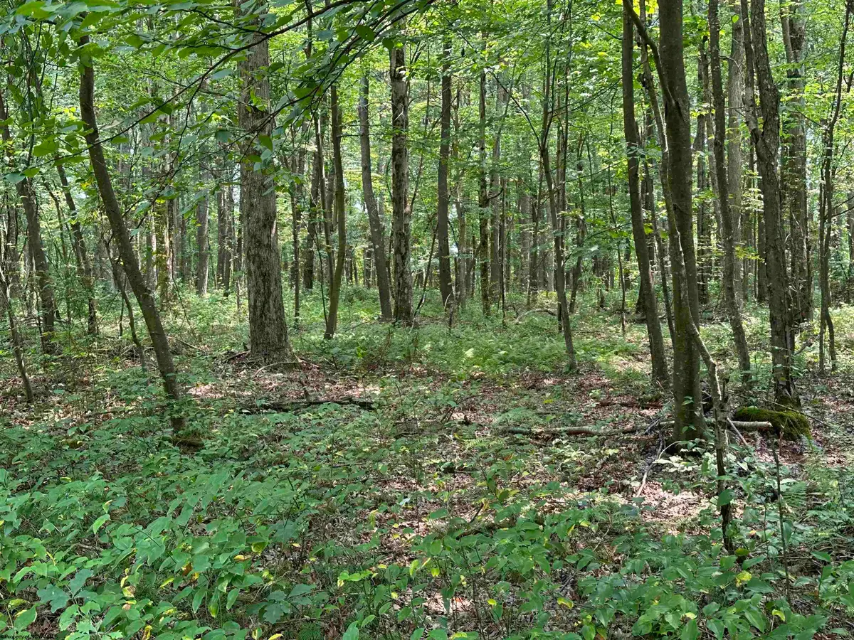 Lot 31 Oak Drive, Albright, WV 26519 - Image #1
