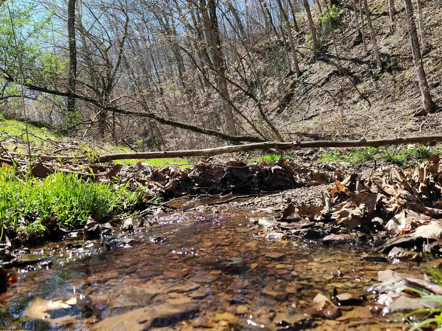 3796 Beverly Pike, Elkins, WV 26241 - Image #3