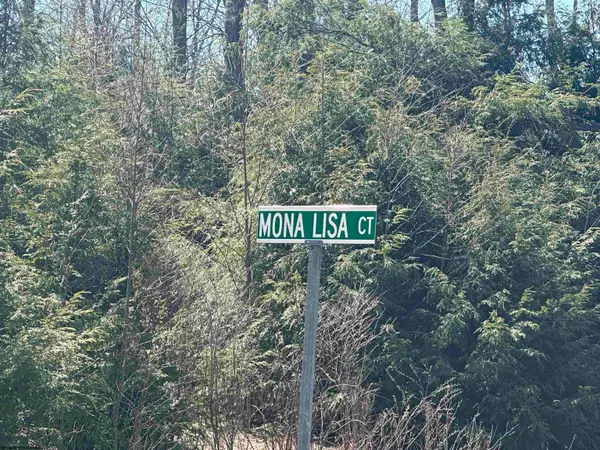 Lot 194 Florence Court, Davis, WV 26260