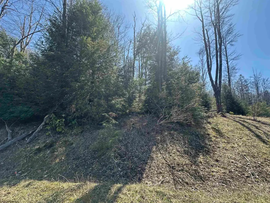 Lot 195 Florence Court, Davis, WV 26260 - Image #3