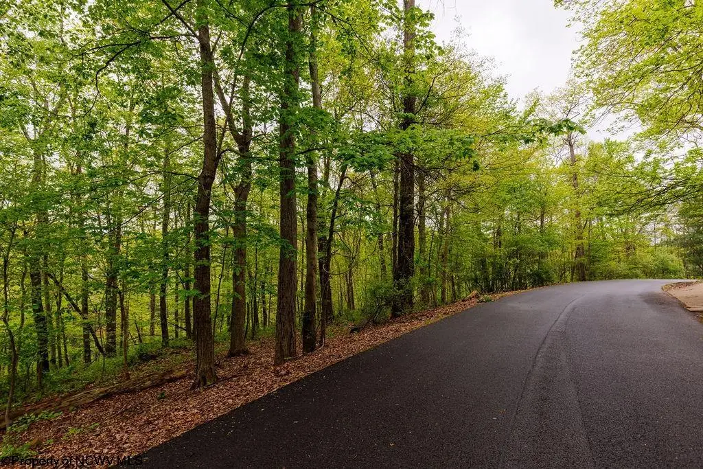 TBD Hinkle Lake Road, Bridgeport, WV 26330 - Image #1