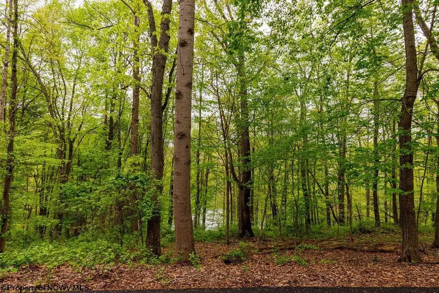 TBD Hinkle Lake Road, Bridgeport, WV 26330 - Image #2