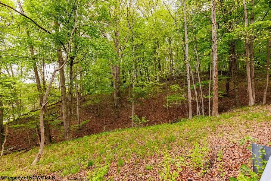 TBD Hinkle Lake Road, Bridgeport, WV 26330 - Image #3