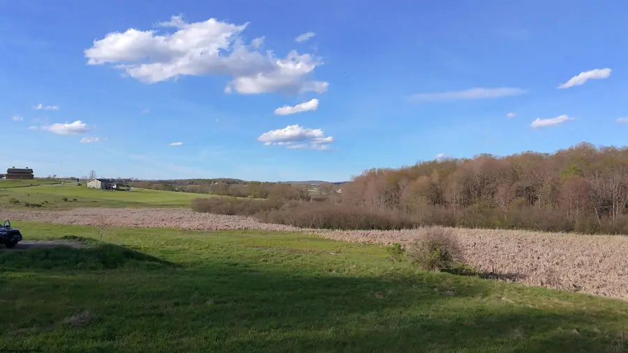 34 Meadow Lark Drive, Bruceton Mills, WV 26525 - Image #3