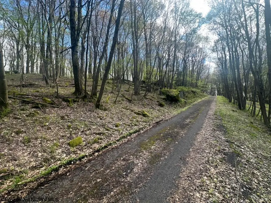 Lot 94 Day Lily Circle, Terra Alta, WV 26764 - Image #2