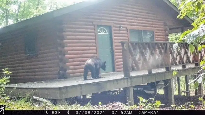 633 Mill Creek, Philippi, WV 26416 - #2