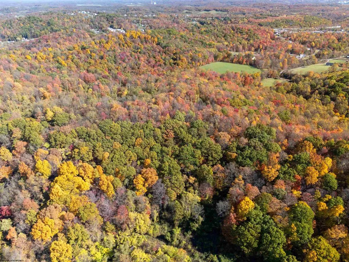 Parcel C Guston Run Road, Morgantown, WV 26505 - Image #1