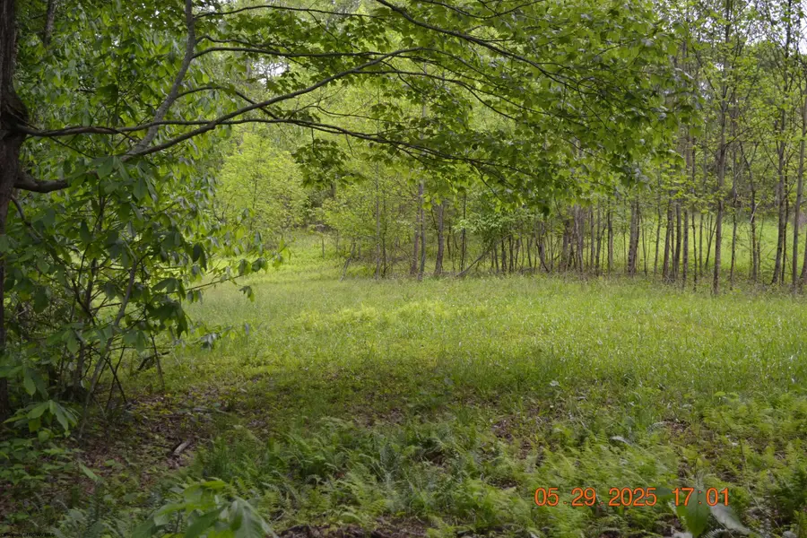 805 Fiddlers Glen Road, Heaters, WV 26627 - Image #2