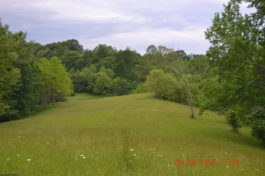 805 Fiddlers Glen Road, Heaters, WV 26627 - Image #3