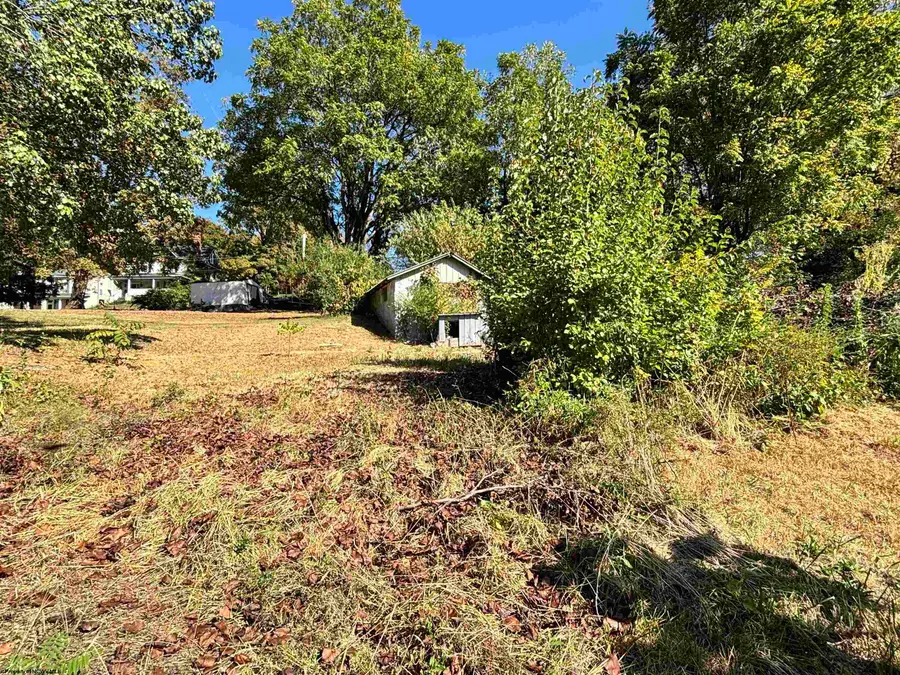 TBD WALNUT Street, Belington, WV 26250 - Image #3