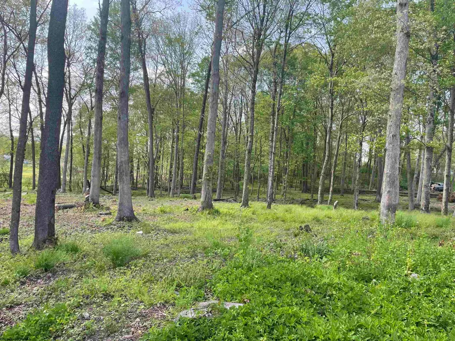 TBD West Street, Reedsville, WV 26547 - Image #2