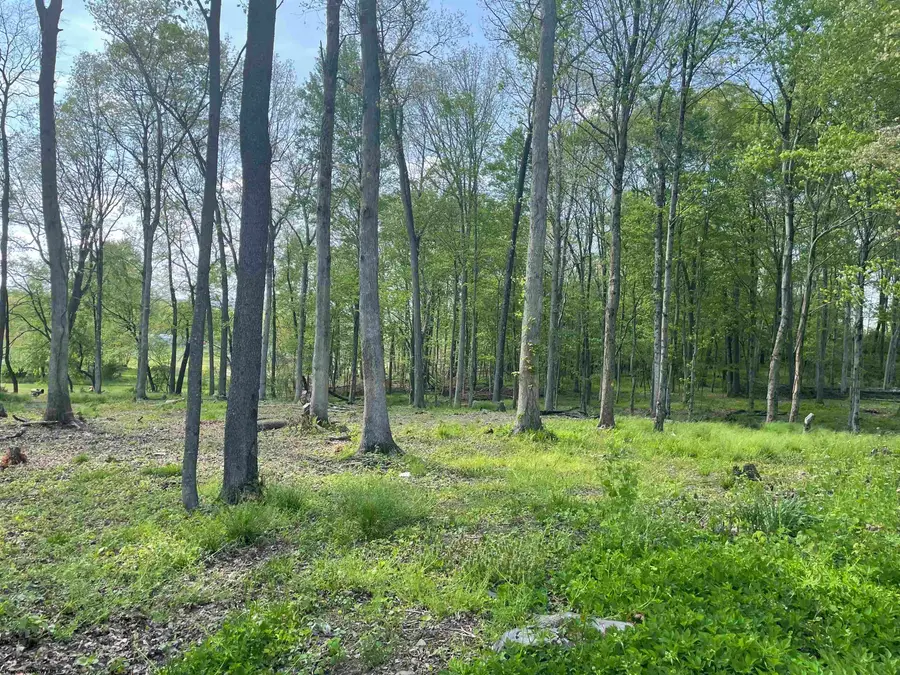 TBD West Street, Reedsville, WV 26547 - Image #3