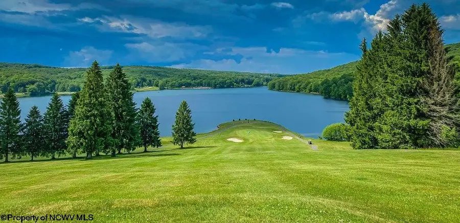 283 Pond Lily Lane, Terra Alta, WV 26764 - Image #3